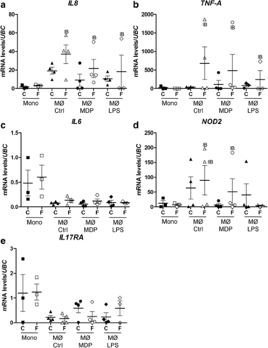 Rare IL2 dendrite extension defects in dig-1 mutants are enhanced