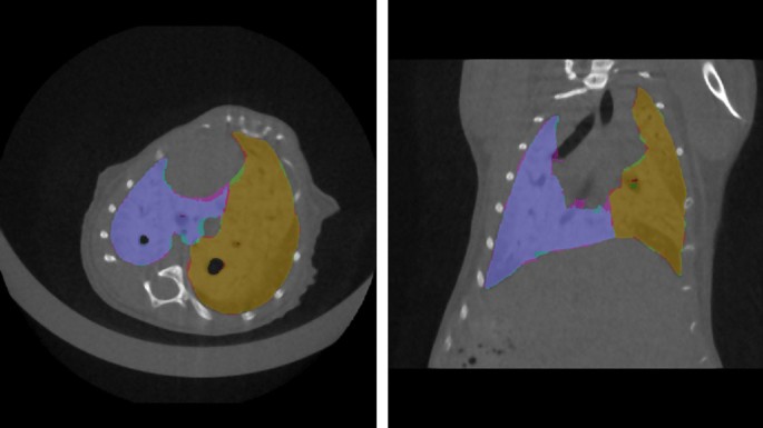 Deep learning-based segmentation of the thorax in mouse micro-CT scans