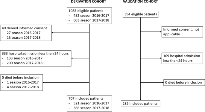 Derivation and external validation of a simple prediction rule for the development of respiratory failure in hospitalized patients with influenza