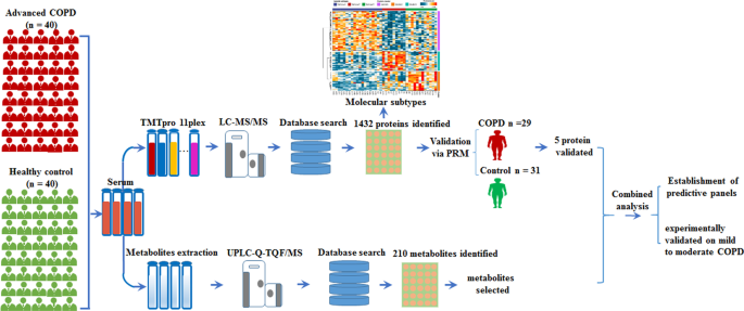 depression and acetyl-l-carnitine Current Evidence of Acetyl-L-Carnitine use in Mood Disorders-: A Syste |  NDT