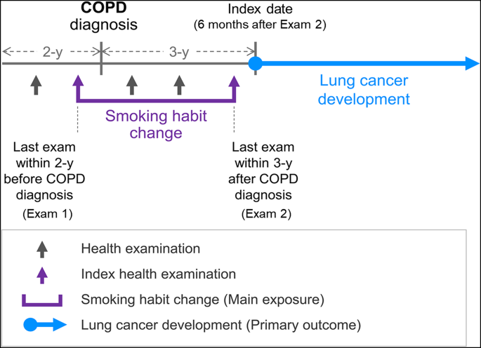 cigarette pack years calculation Impact of smoking reduction on lung cancer risk in patients with COPD who  smoked fewer than 30 pack-years: a nationwide population-based cohort study  | Respiratory Research
