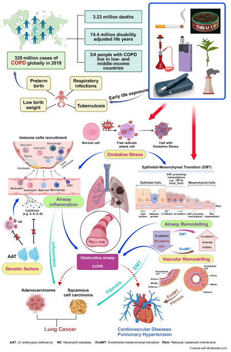 Tobacco and COPD: presenting the World Health Organization (WHO) Tobacco  Knowledge Summary | Respiratory Research