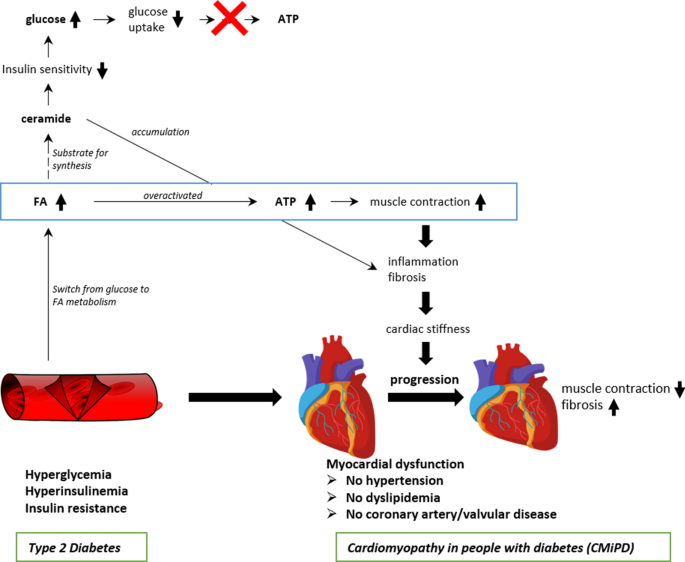 what happens when you increase semaglutide How Long Does It Take for Semaglutide to Suppress Appetite? what happens when you increase semaglutide How Long Does It Take for Semaglutide to Suppress Appetite?