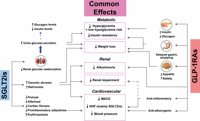 glp-1 food list Foods and Supplements that Increase GLP-1 Naturally