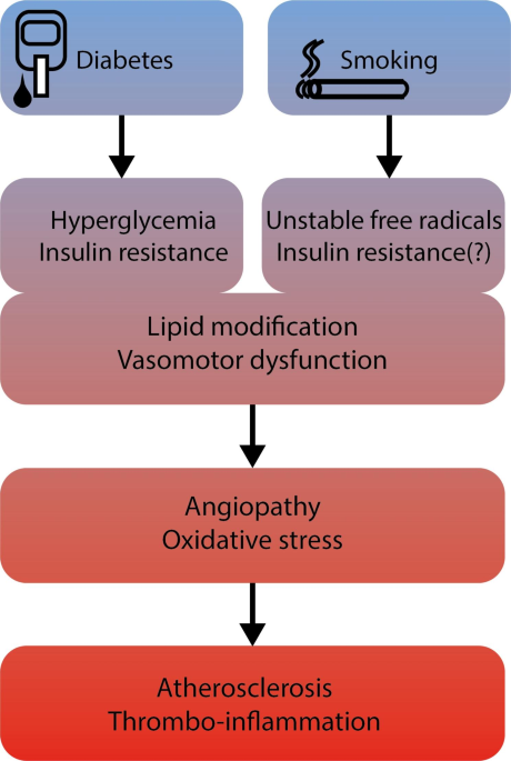 type 1 diabetes and smoking cigarettes Diabetes- versus smoking-related thrombo-inflammation in peripheral artery  disease | Cardiovascular Diabetology