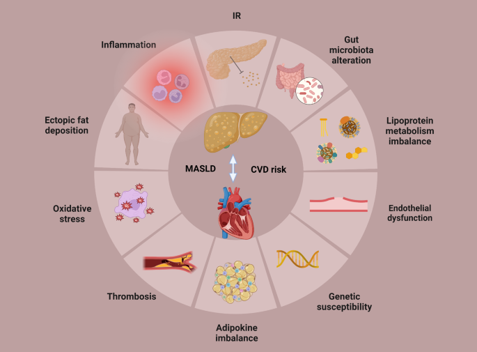 semaglutide tirzepatide differences Tirzepatide vs. Semaglutide: Which Weight Loss Medication is Right for You? semaglutide tirzepatide differences Tirzepatide vs. Semaglutide: Which Weight Loss Medication is Right for You?