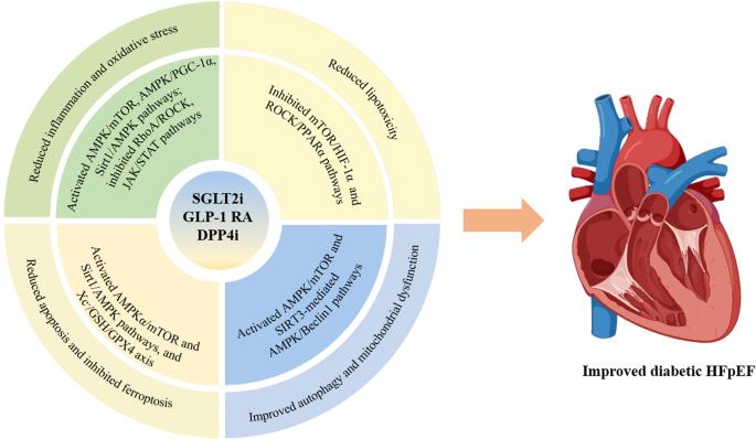 glp 1 agonist lilly Market Overview: GLP-1 Agonists and the Obesity Market | Blog