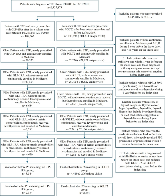 glp 1 and levothyroxine Glucagon-like peptide-1 receptor agonists and risk for cardiovascular  events in older adults treated with levothyroxine: a target trial emulation  | Cardiovascular Diabetology