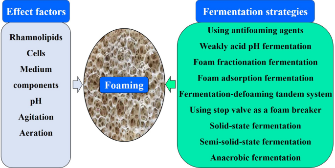 Foaming of rhamnolipids fermentation: impact factors and fermentation  strategies | Microbial Cell Factories | Full Text