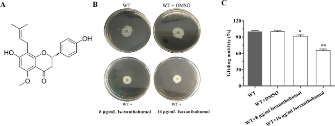 cayman chemical 703002 glutathione assay kit price Biofilm Formation and Staining Kit