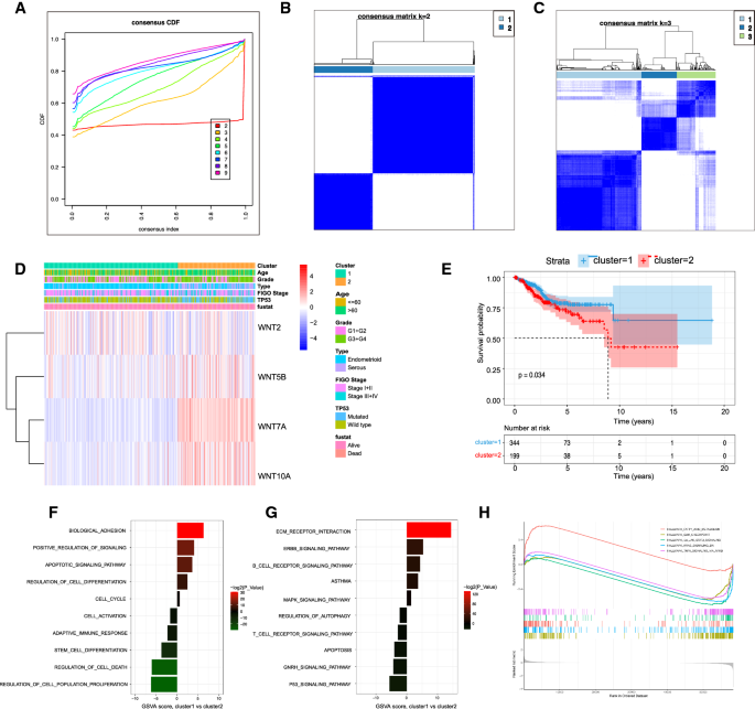 Identification of the prognostic value of a 2-gene signature of the WNT  gene family in UCEC using bioinformatics and real-world data, Cancer Cell  International