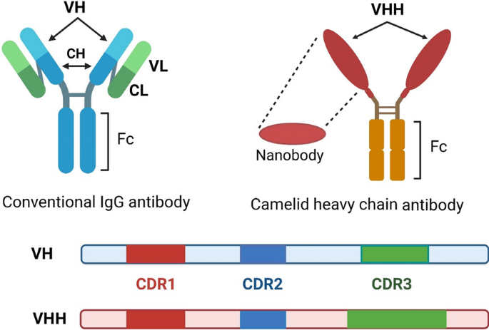 Immobilization of the IgG and Prostate Specific Antigen (PSA) on SU-8