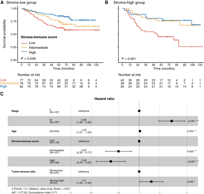 A deep learning quantified stroma-immune score to predict survival of  patients with stage II–III colorectal cancer | Cancer Cell International |  Full Text