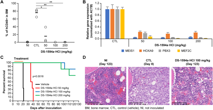 A Menin-MLL Inhibitor Induces Specific Chromatin Changes and Eradicates  Disease in Models of MLL-Rearranged Leukemia - ScienceDirect