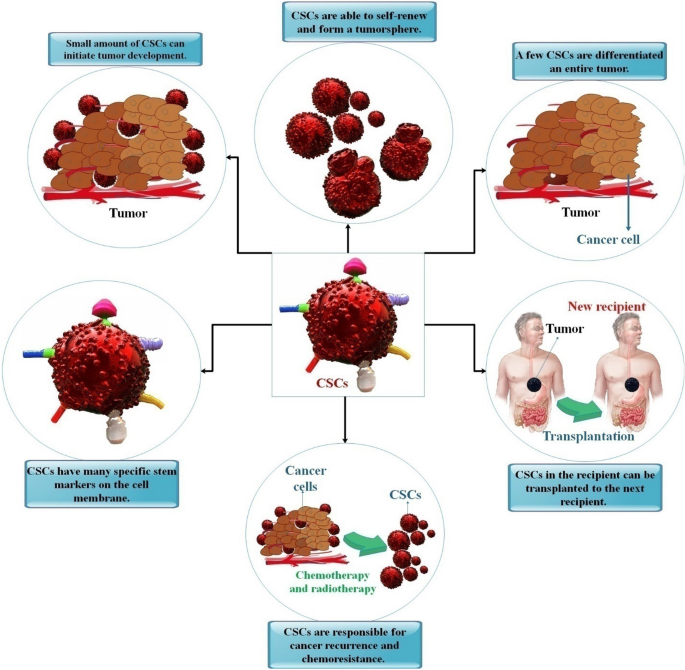 Recent Updates on Viral Oncogenesis: Available Preventive and