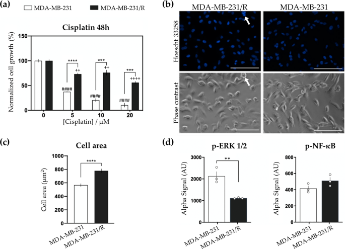 mda-mb-468 glutathione content Disclosing a metabolic signature of cisplatin resistance in MDA-MB-231  triple-negative breast cancer cells by NMR metabolomics | Cancer Cell  International