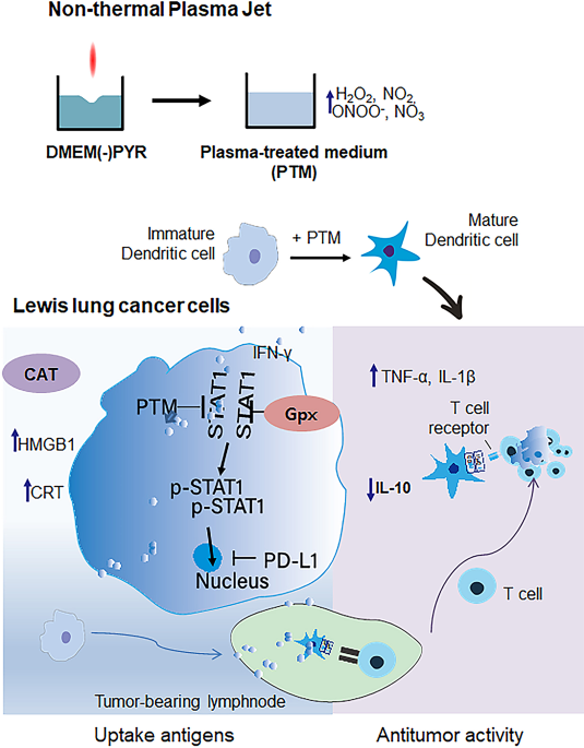 hgc glutathione immune enhancer Xia & He Publishing Results RNA - ACG Glutathione