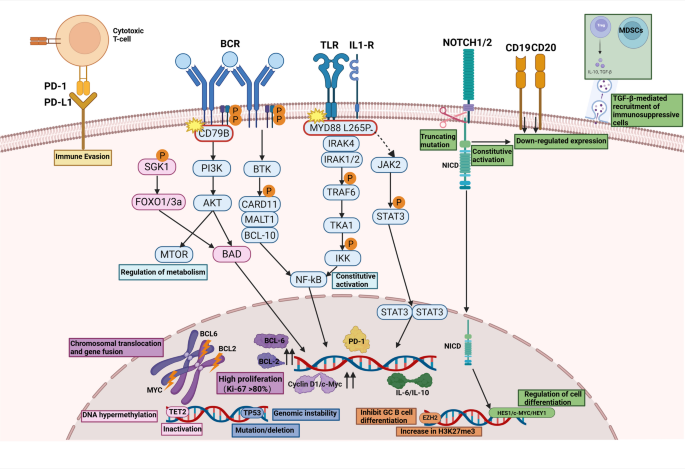 is glutathione bad for lymphoma Overcoming CAR-T bottlenecks in high-risk DLBCL: a molecular subtyping enhancement strategy | Cancer Cell International Glutathione Injections: Benefits & Blemish Prone Bottles:1 bottle