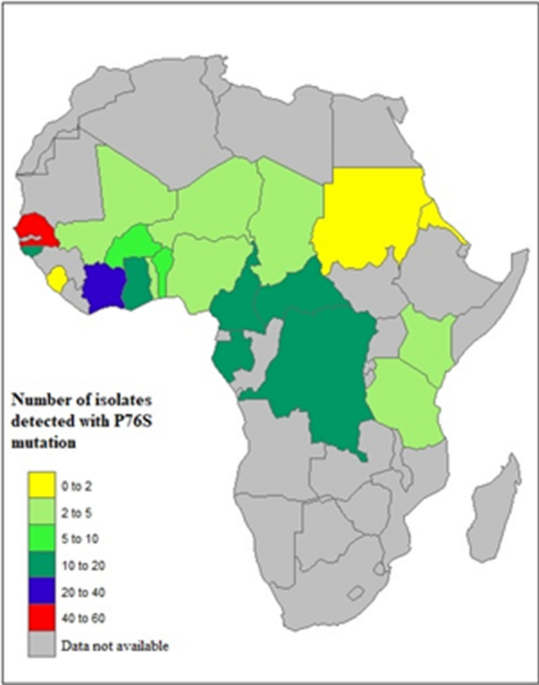 Prevalence of potential mediators of artemisinin resistance in African  isolates of Plasmodium falciparum, Malaria Journal