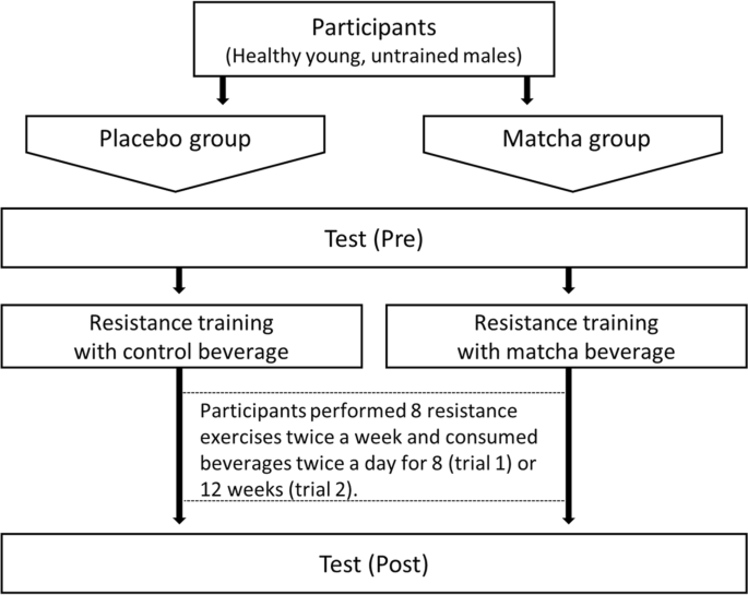does macha raise glutathione levels better than green tea Matcha beverage moderates fatigue and supports resistance training-induced adaptation | Nutrition Journal Resequedad