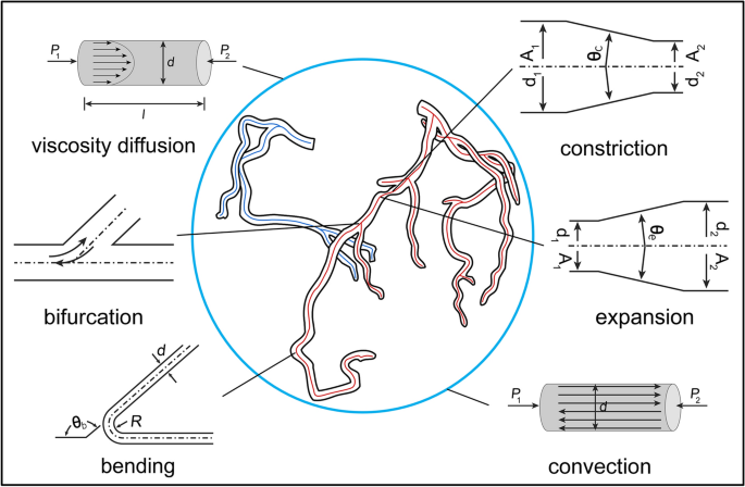 A novel physics-based model for fast computation of blood flow in coronary  arteries | BioMedical Engineering OnLine | Full Text