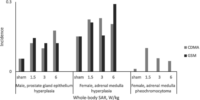 Long-term exposure to 835 MHz RF-EMF induces hyperactivity