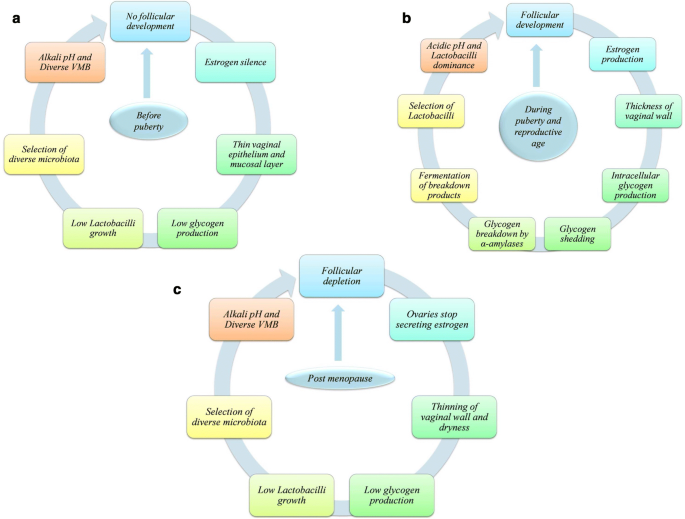Microbiota in vaginal health and pathogenesis of recurrent vulvovaginal  infections: a critical review, Annals of Clinical Microbiology and  Antimicrobials