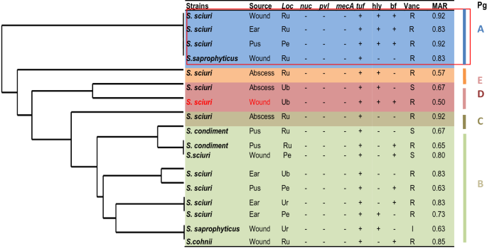 Are teicoplanin-non-susceptible Staphylococcus epidermidis strains  increasing?