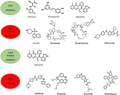 Strategies for Targeting Serine/Threonine Protein Phosphatases with Small  Molecules in Cancer