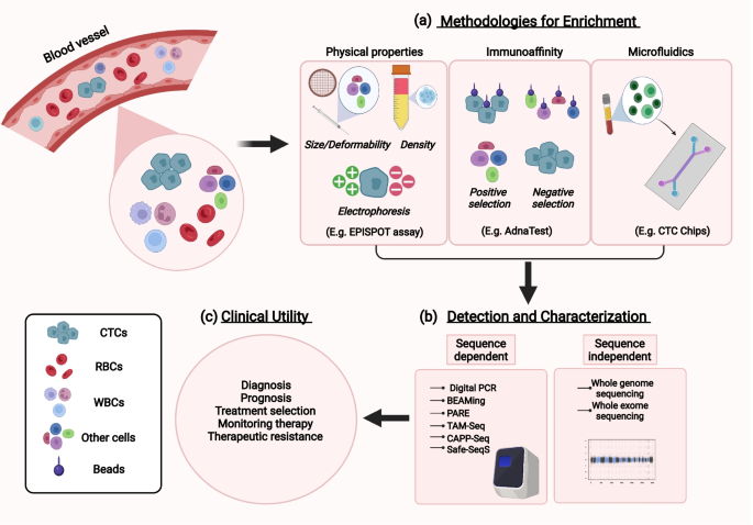 Frontiers  Application of Microfluidics in Detection of Circulating Tumor  Cells