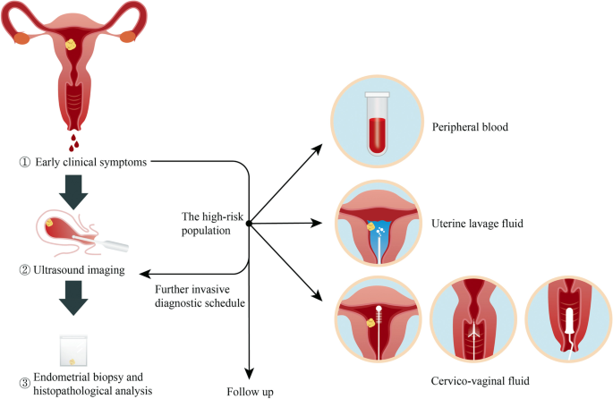 characteristics of 97 women with post- menopausal uterine bleeding from