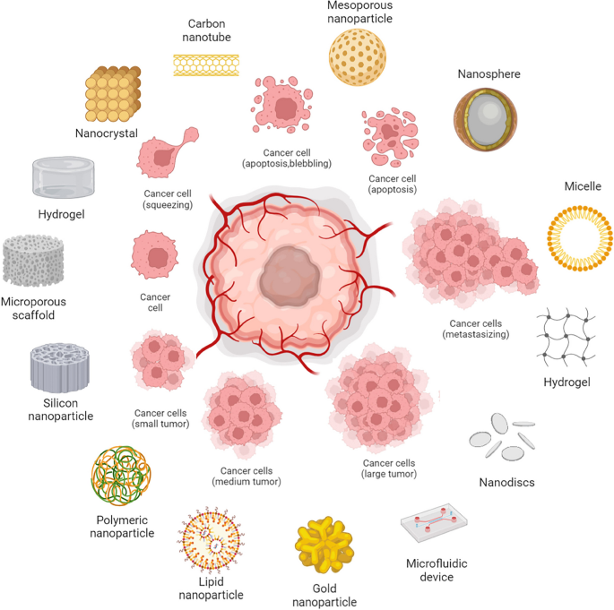 Cells at Work!'s Cancer Cell Gains Regulartory T Cell as an Ally