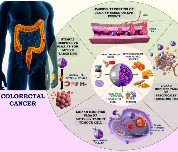 alpha lipoic acid precursor glutathione Advances in -Lipoic Acid for Disease Prevention: Mechanisms and  Therapeutic Insights