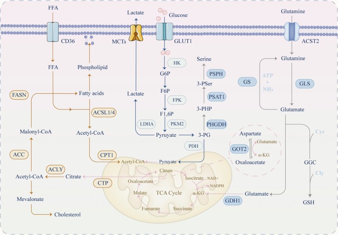 sinha et al. liposomal glutathione eur j clin nutr 2018 The Buyer's Guide: What You Should Look For In a Glutathio sinha et al. 2018 liposomal