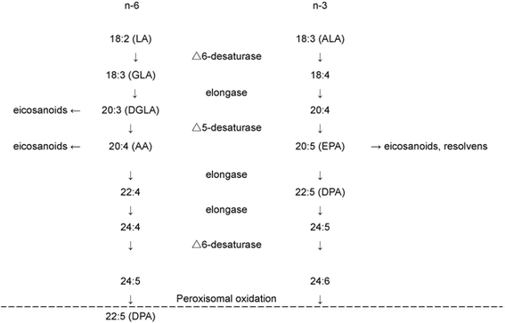 lipidworld.biomedcentral.com