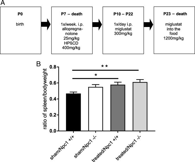 Miglustat for treatment of Niemann-Pick C disease: a randomised