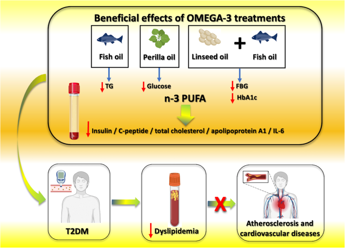 Omega-3 fatty acids coordinate glucose and lipid metabolism in diabetic  patients | Lipids in Health and Disease | Full Text