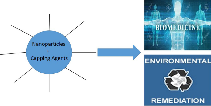 Functionalized Nanomaterial Assembling and Biosynthesis Using the