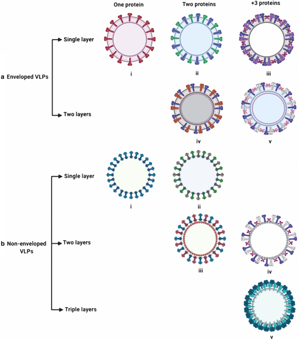 HBc-based virus-like particle assembly from inclusion bodies using