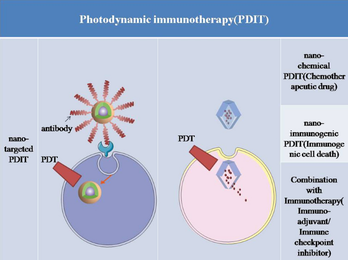 Revolutionizing Health: Immunotherapy Developments