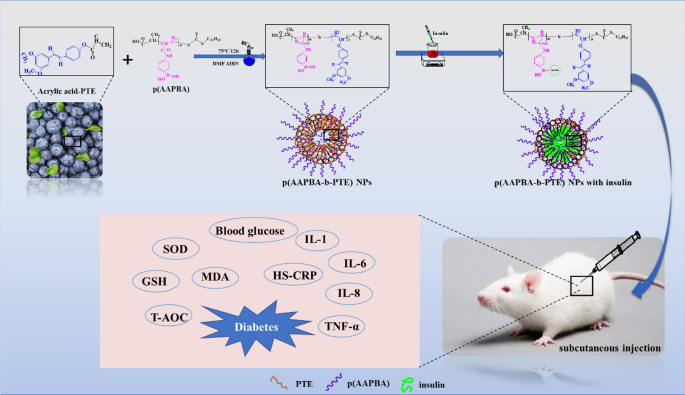 Nanoparticles Prepared From Pterostilbene Reduce Blood Glucose And.