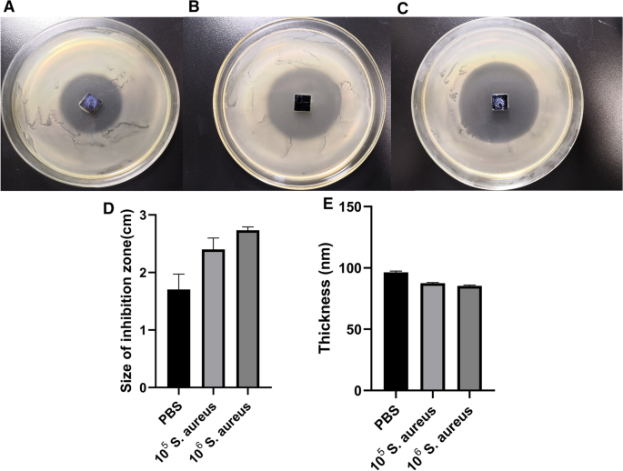 Frontiers  Antibacterial intraosseous implant surface coating