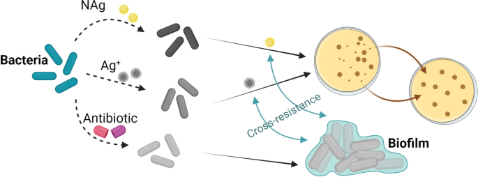 Evolving biofilm inhibition and eradication in clinical settings