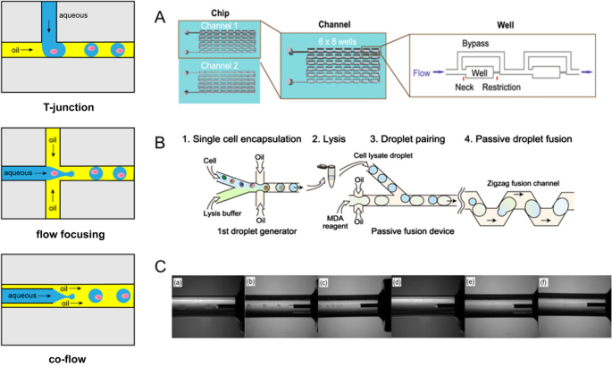 High-Throughput Regulatory Part Prototyping and Analysis by Cell-Free  Protein Synthesis and Droplet Microfluidics