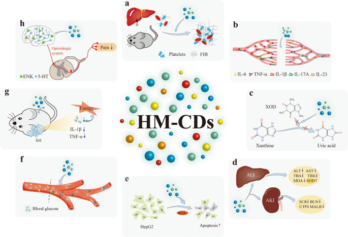 Herbal medicine derived carbon dots: synthesis and applications in  therapeutics, bioimaging and sensing | Journal of Nanobiotechnology | Full  Text