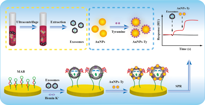 Optimizing Drug Discovery: Surface Plasmon Resonance Techniques