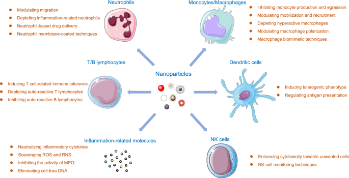 Frontiers  Inflammation and immune cell abnormalities in