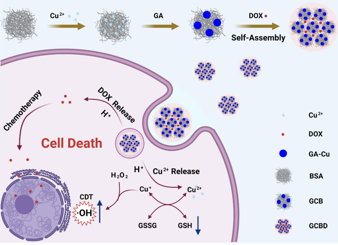 can i take glutathione while on chemo Tumor microenvironment-responsive BSA nanocarriers for combined chemo/chemodynamic  cancer therapy | Journal of Nanobiotechnology
