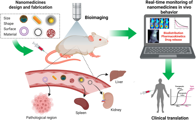 Survey of Clinical Translation of Cancer Nanomedicines—Lessons