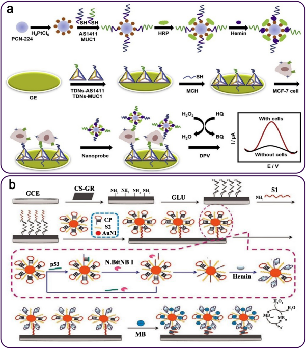 DNAzyme-Based Biosensors: Immobilization Strategies, Applications, and  Future Prospective